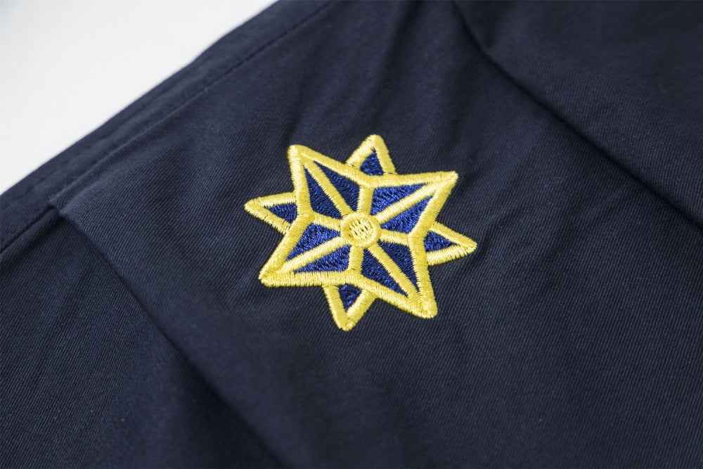 Stylish European Star Embroidered Wide Leg Pants