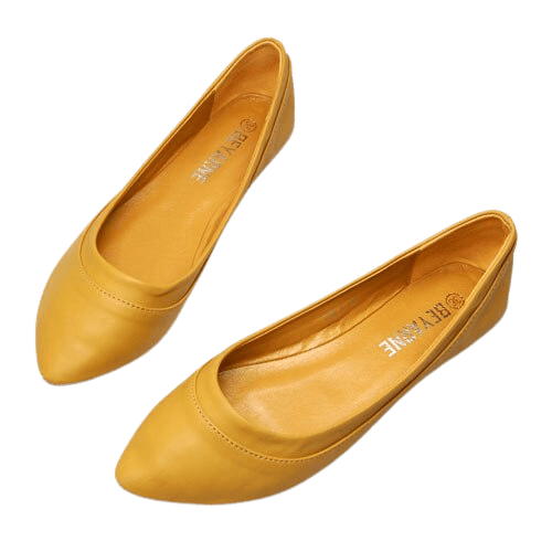 Belinda Women's Pointed Toe Flat Shoes