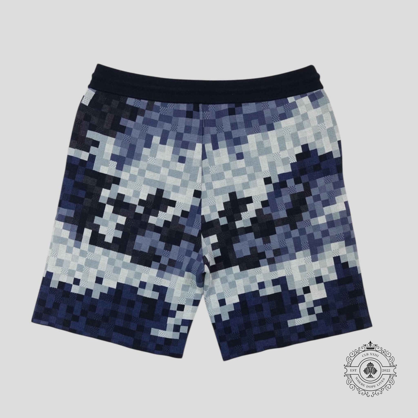 Louis Vuitton Hybrid Damoflage Shorts in Blue