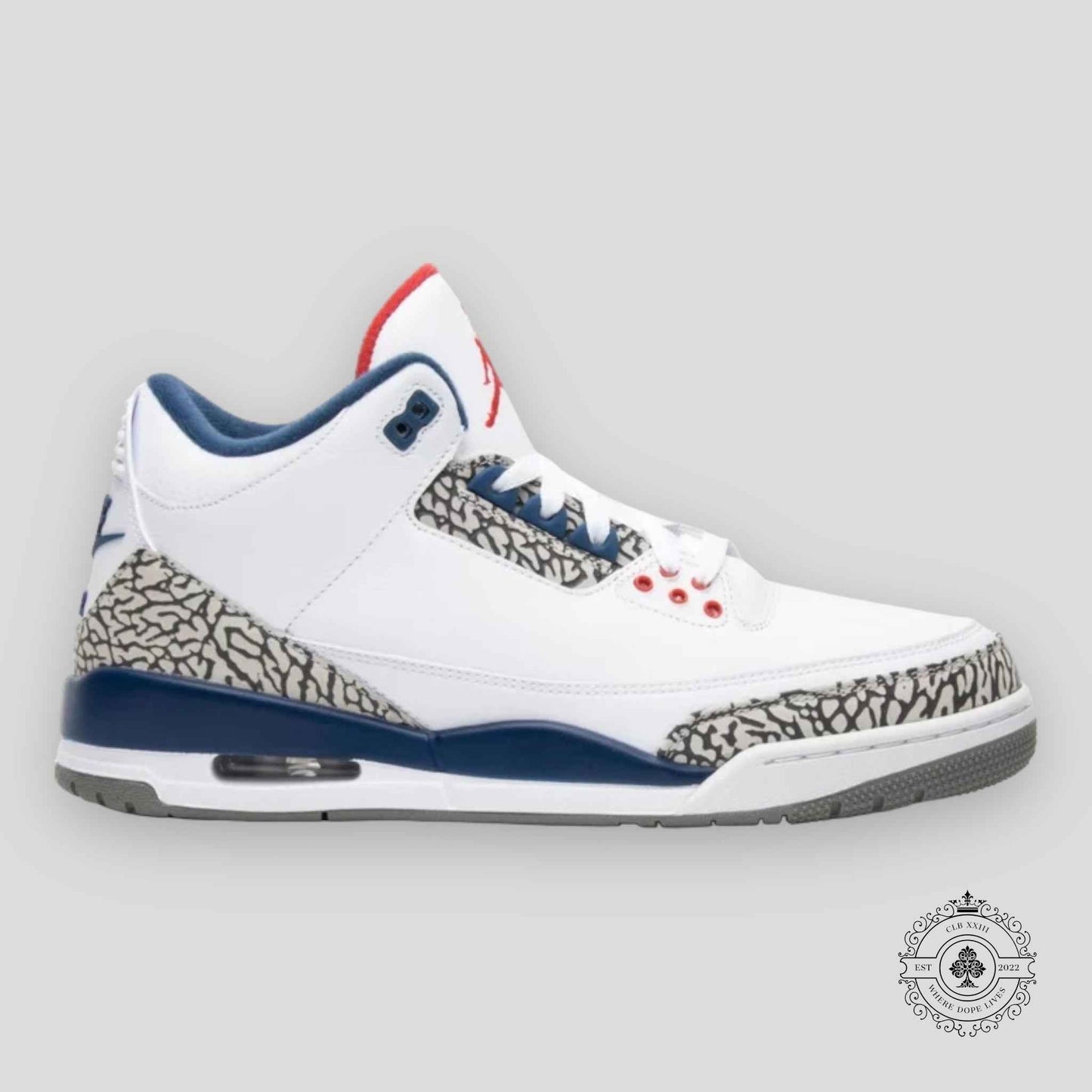 Air Jordan 3 Retro True Blue 2016