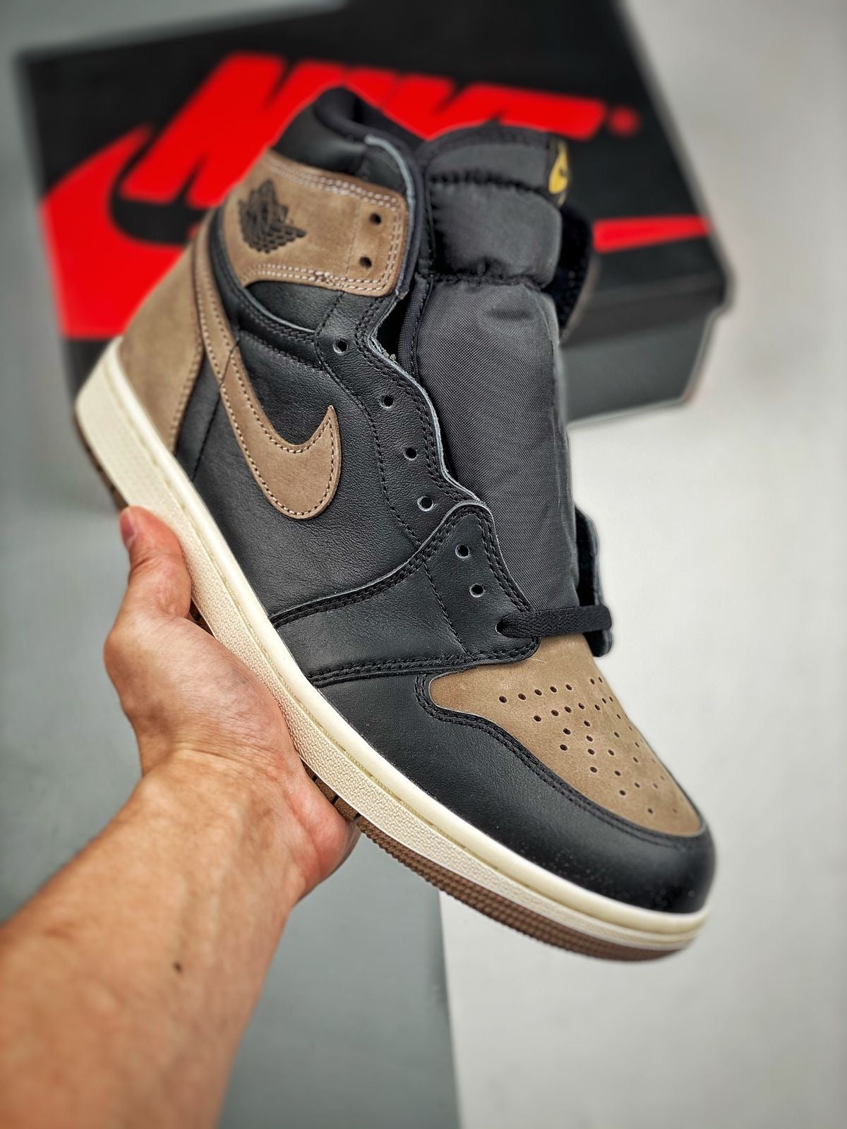 Air Jordan 1 High OG Palomino DZ5485-020