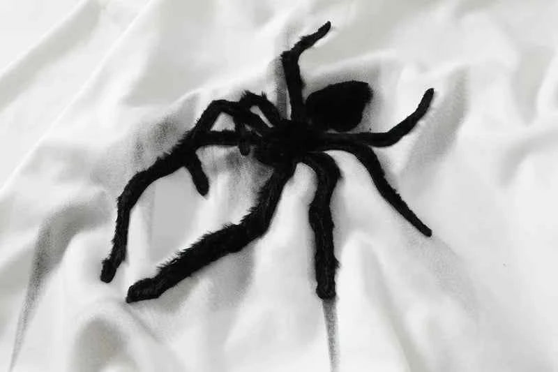 Streetwear Spider Printed Hip Hop Hoodie