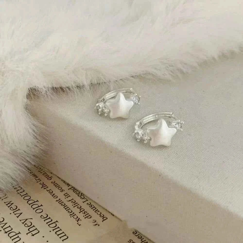 Exquisite Korean Star Silver Zircon Earrings