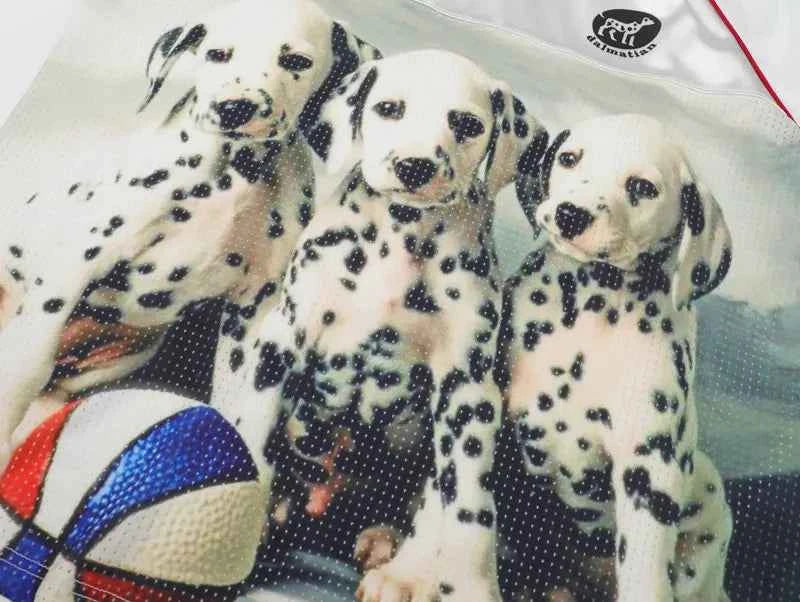 Insulated Dalmatian Graphic Mesh Jersey T-Shirt