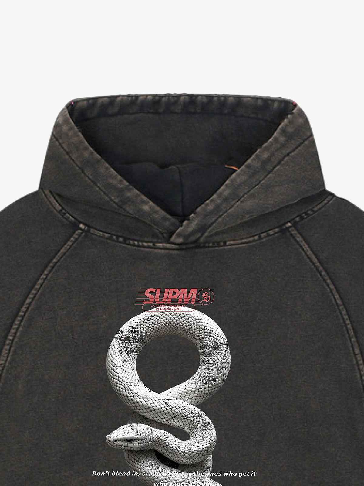Vintage Washed Snake Appliqué Pullover Hoodie