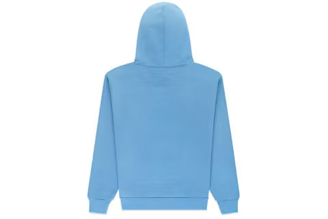 SPYDER Hoodie Spider Web Graphic