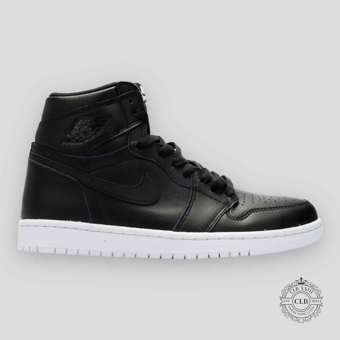 AIR JORDAN 1 RETRO HIGH OG "CYBER MONDAY"