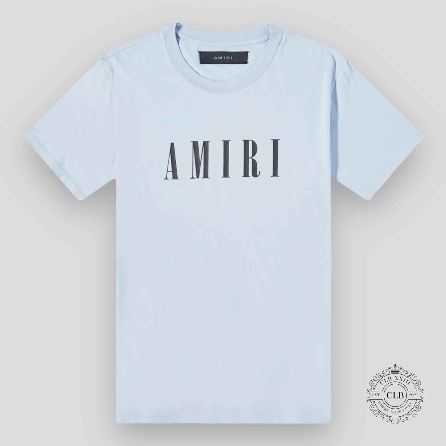 Amiri Core Logo Tee in Dusty Blue