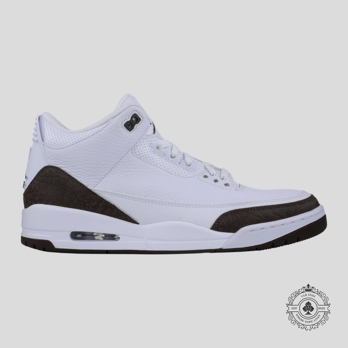 Air Jordan 3 Retro Mocha (2018)