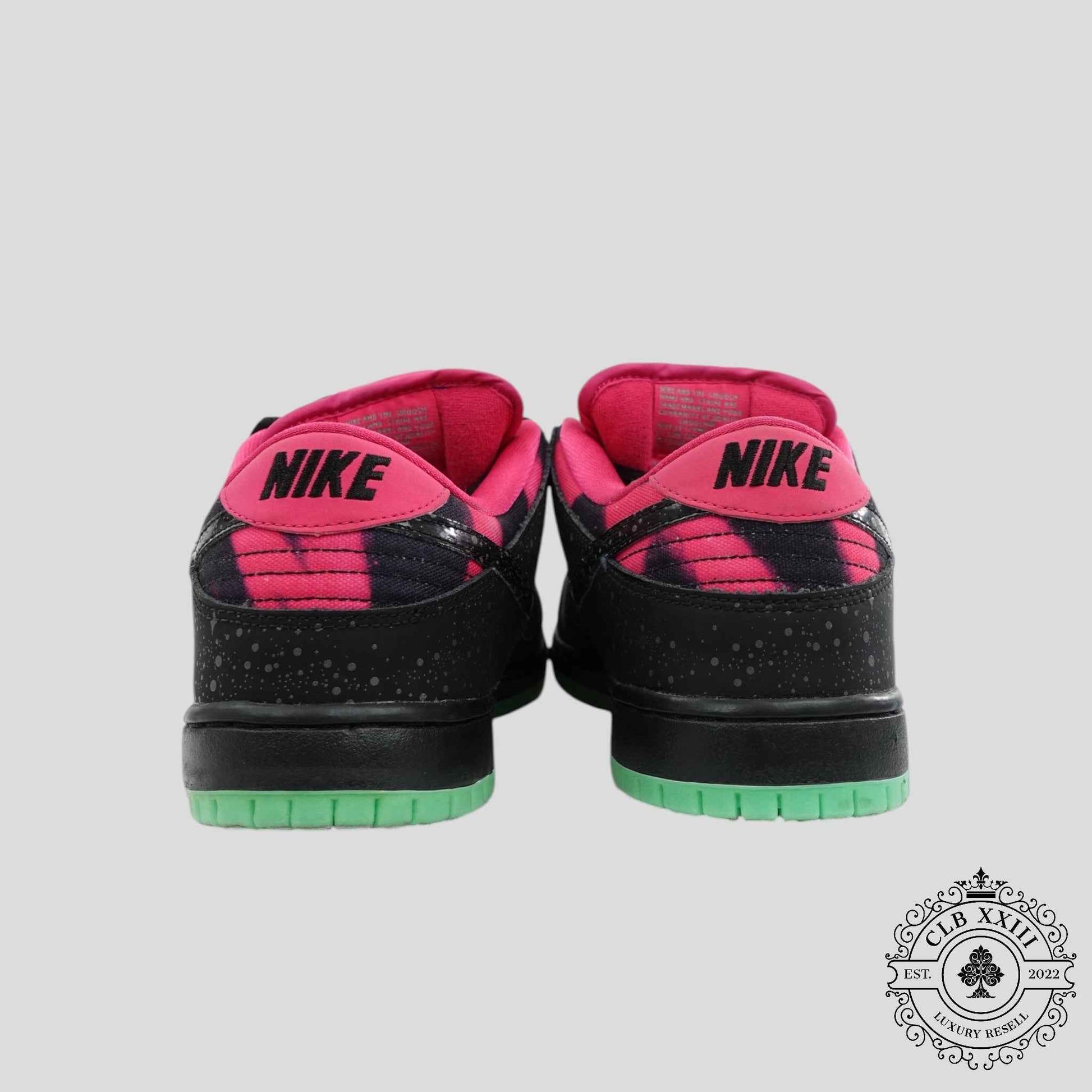 Nike SB Dunk Low Premier Northern Lights