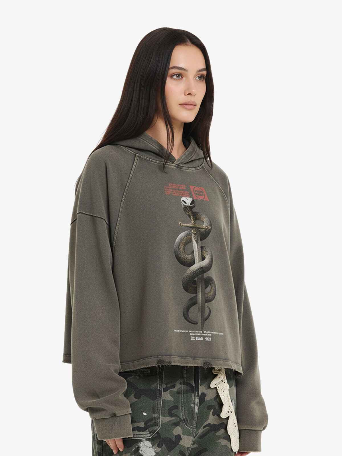 Vintage Washed Snake Staff Graphic Hoodie