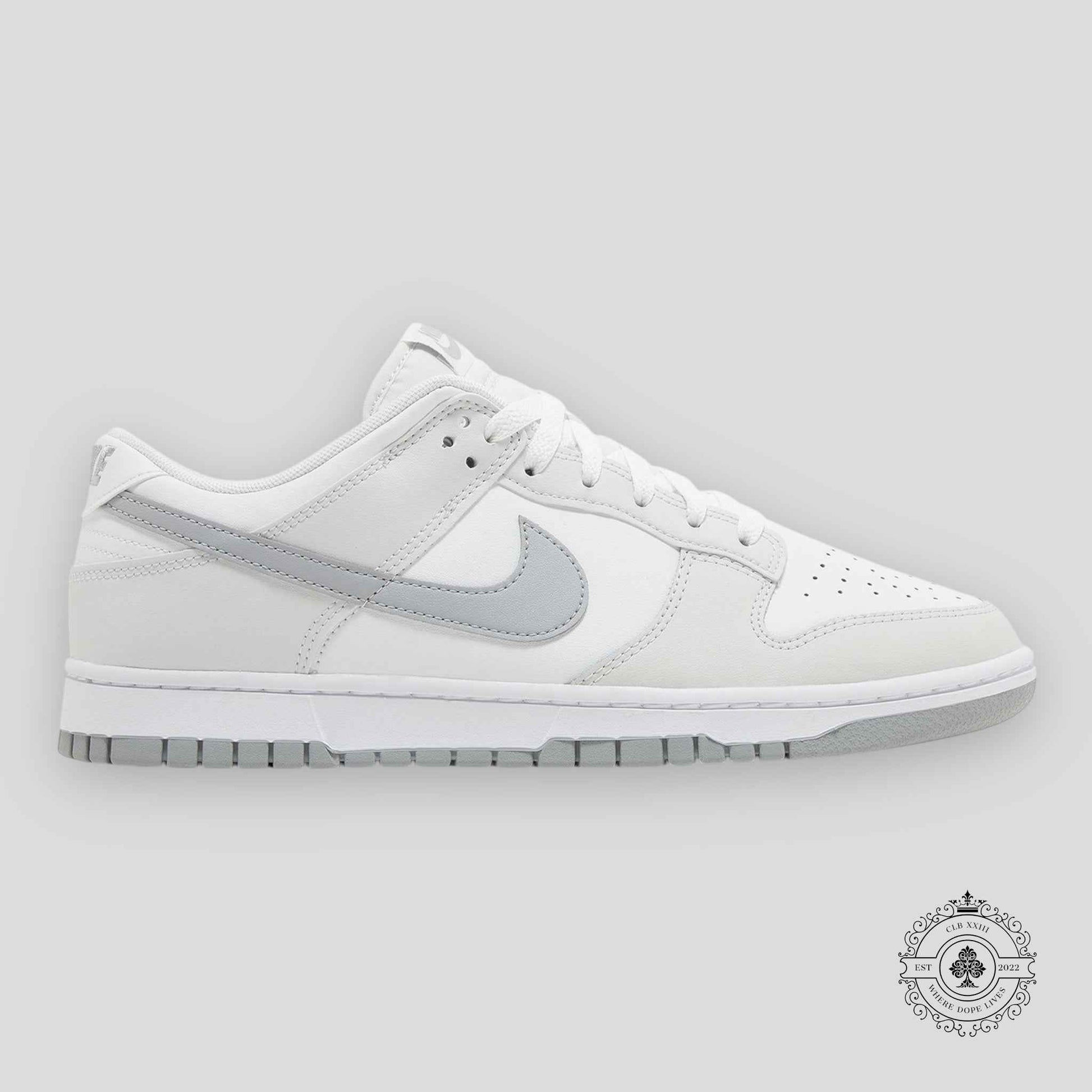 Nike Dunk Low Retro Summit White Light Smoke Grey