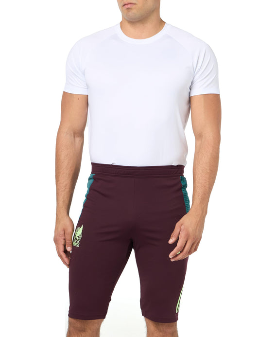 adidas Mens Standard Mexico 2024 Tiro Training Shorts Dark Burgundy/Green Spark