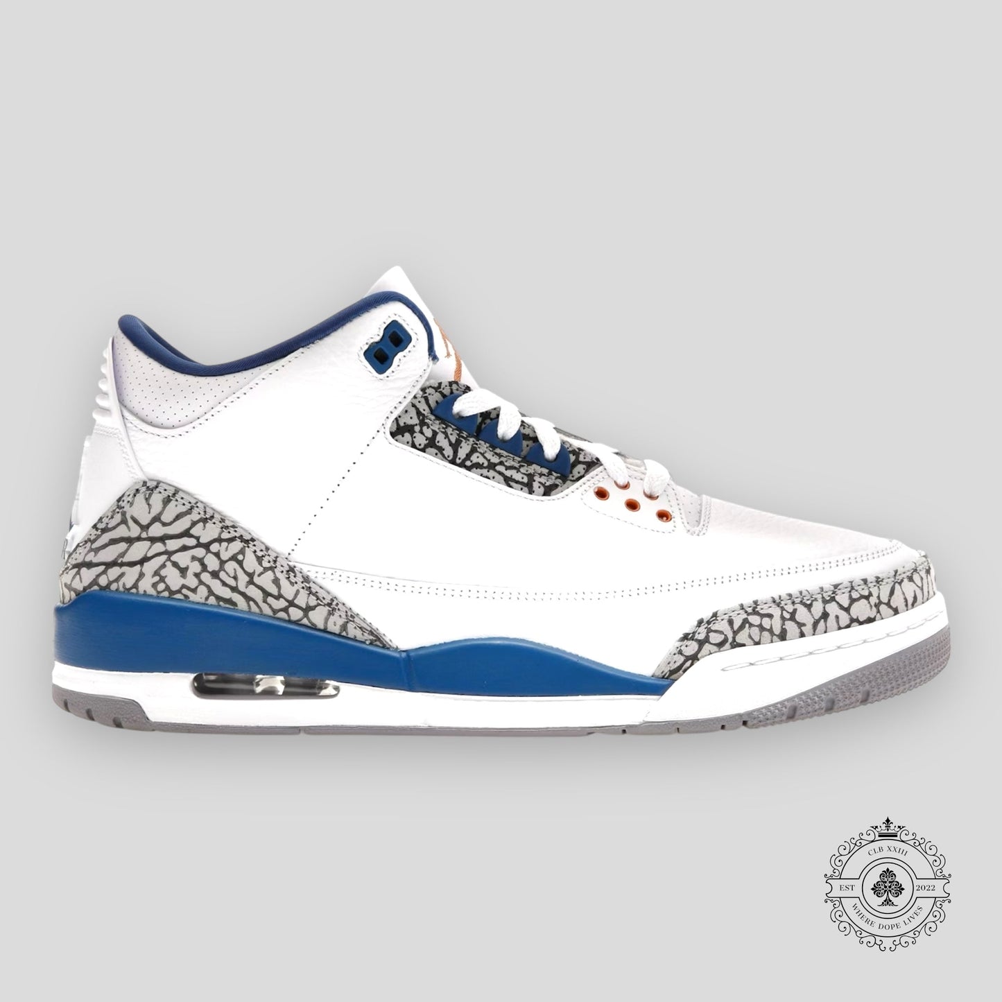 Air Jordan 3 Retro GS Wizards