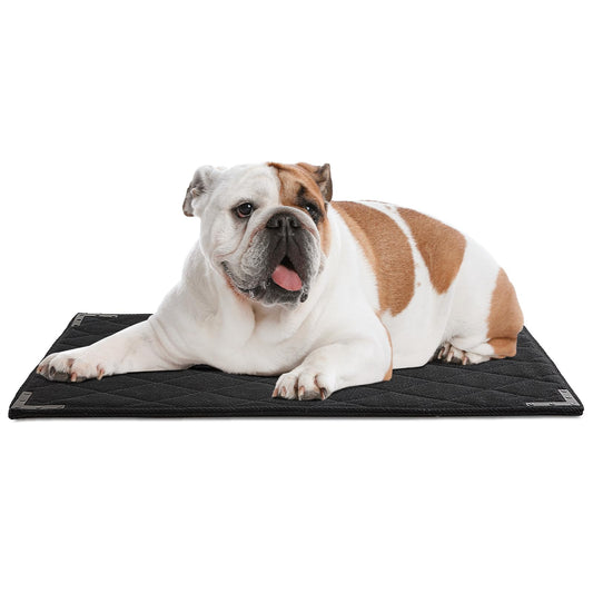 BALAPET XS Durable Chew Proof Dog Bed with Metal Rivet Corner 23"x17"