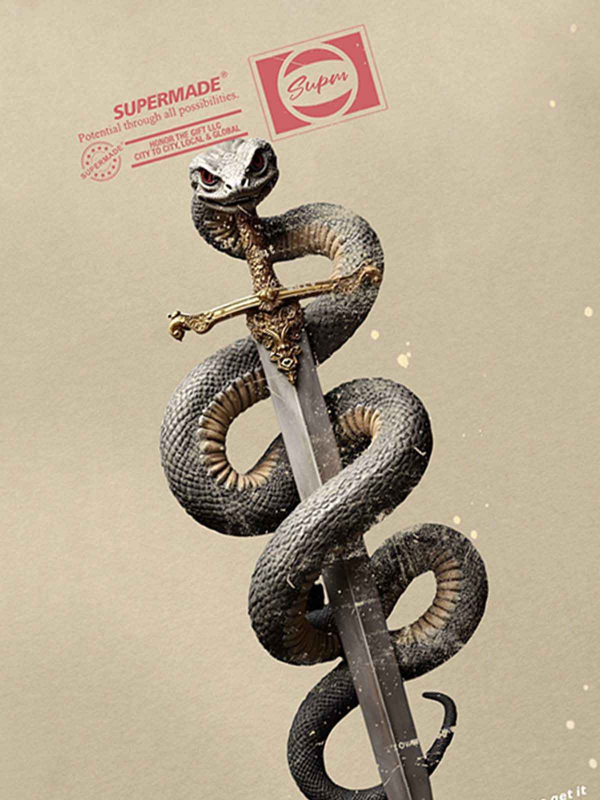 Snake and Sword Graphic T-Shirt