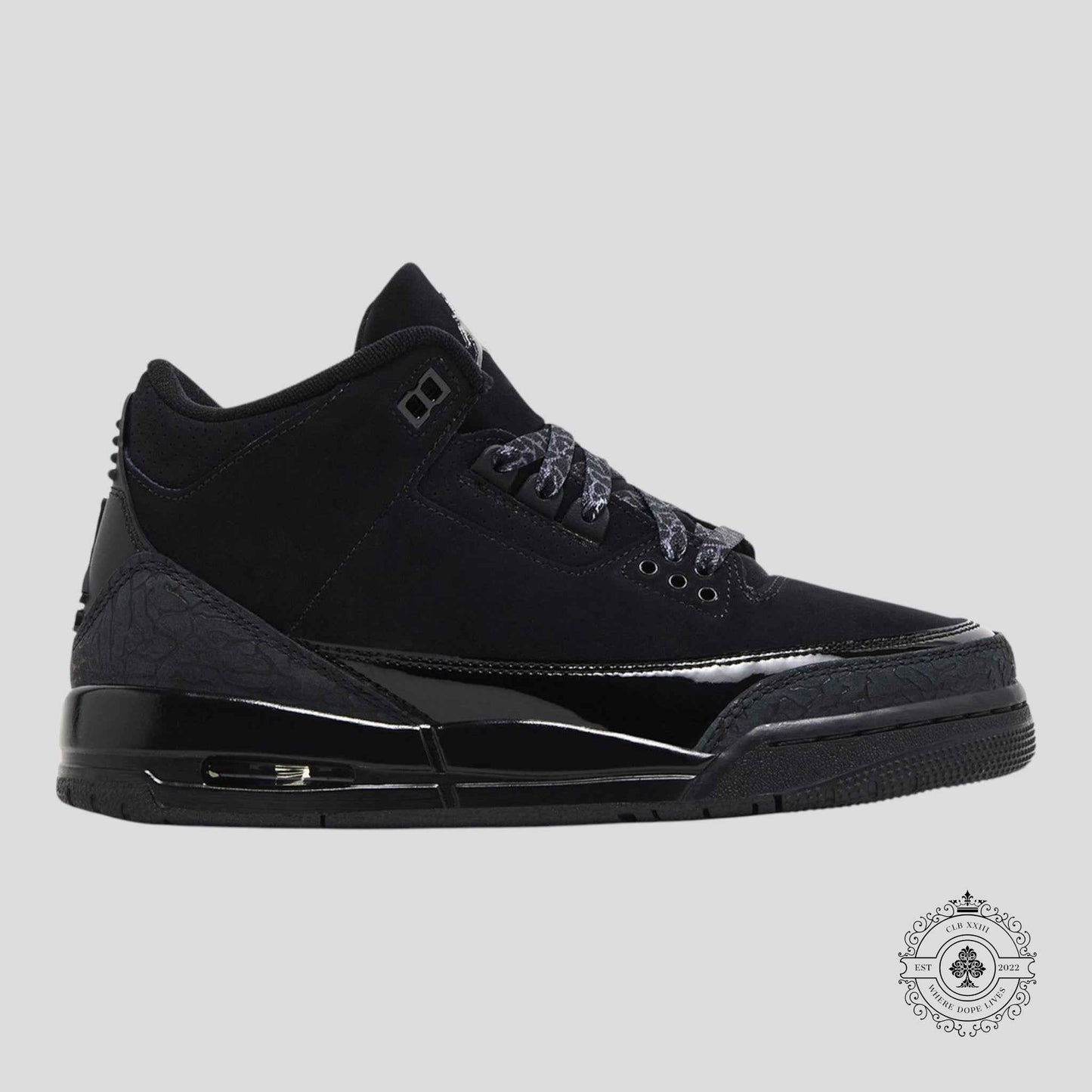 Air Jordan 3 Retro Black Cat (2025)