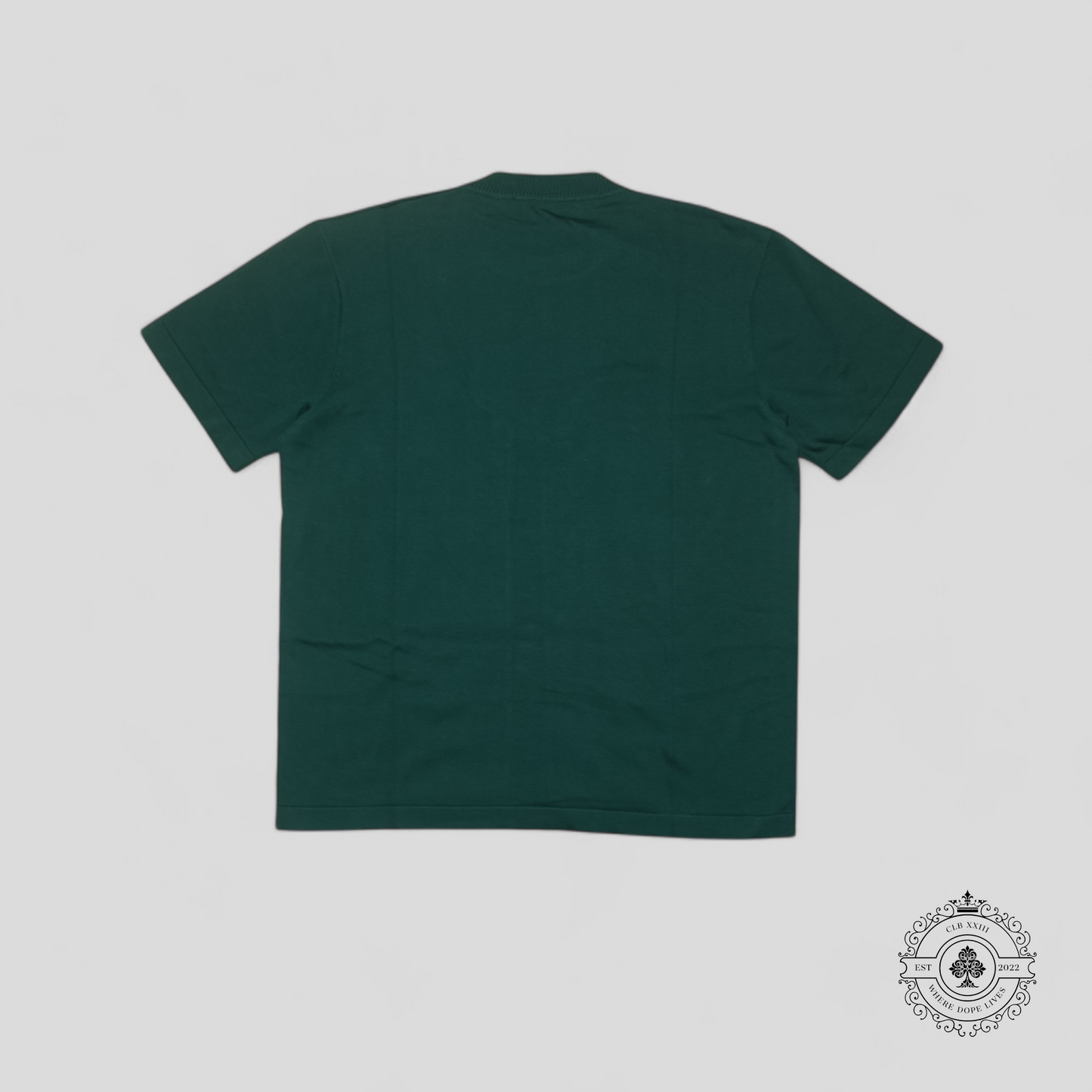 Louis Vuitton Signature Short Sleeve Crewneck Knitwear in Green