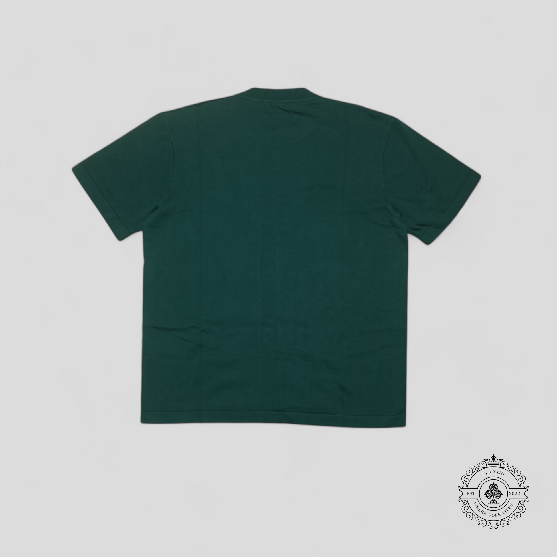 Louis Vuitton Signature Short Sleeve Crewneck Knitwear in Green