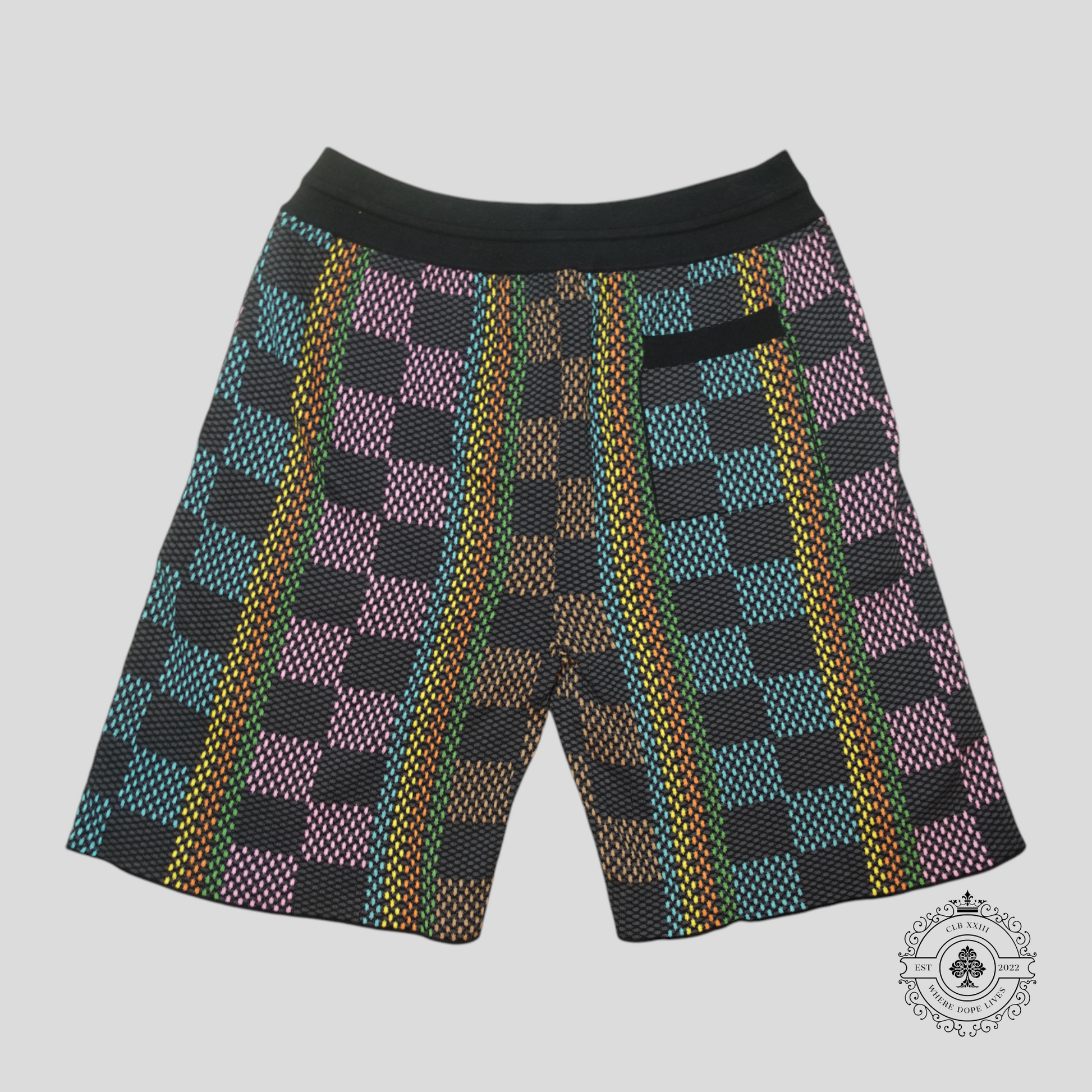 Louis Vuitton Damier Jacquard Shorts in Black/Multicolor