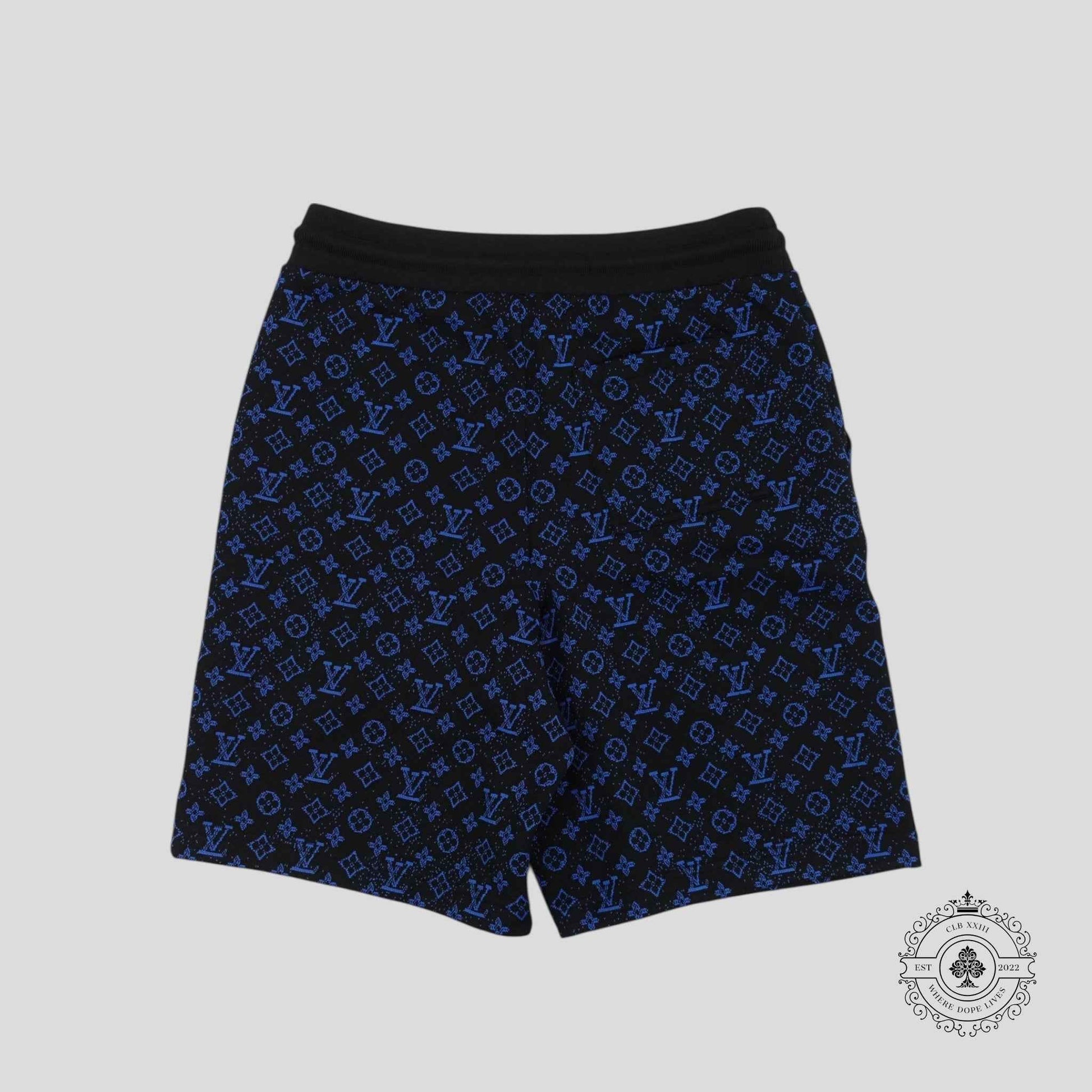 Louis Vuitton Monogram Technical Shorts in Black/Blue