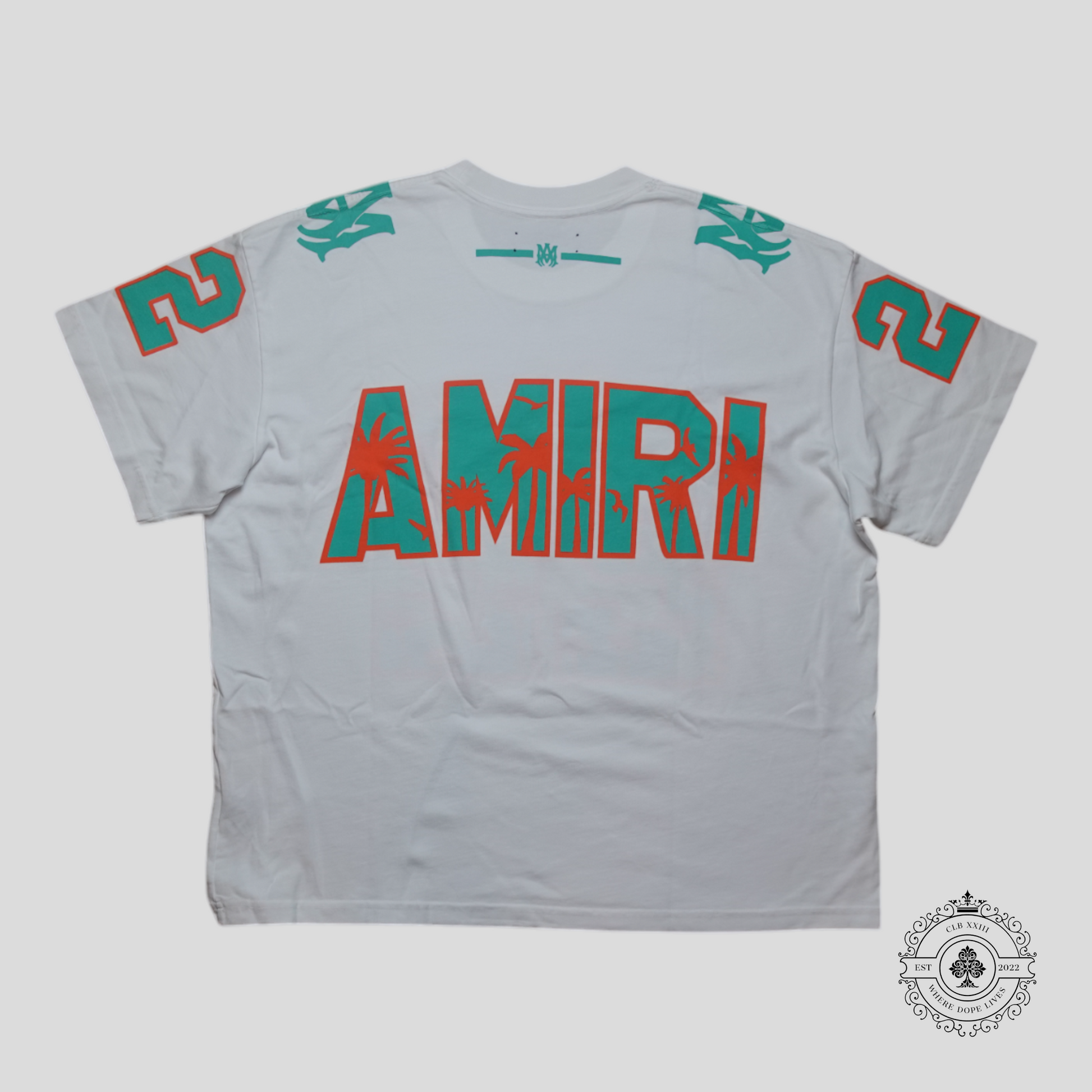 Amiri Palm Tree 22 Oversized Football T-Shirt in White/Mint Green/Orange