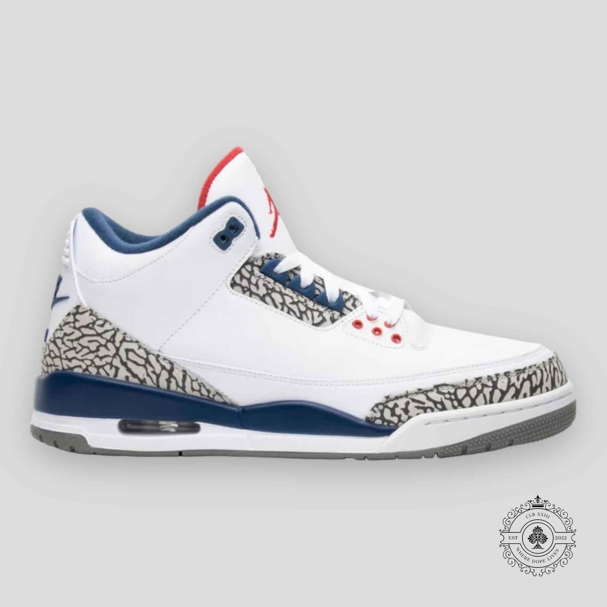 Air Jordan 3 Retro True Blue 2016