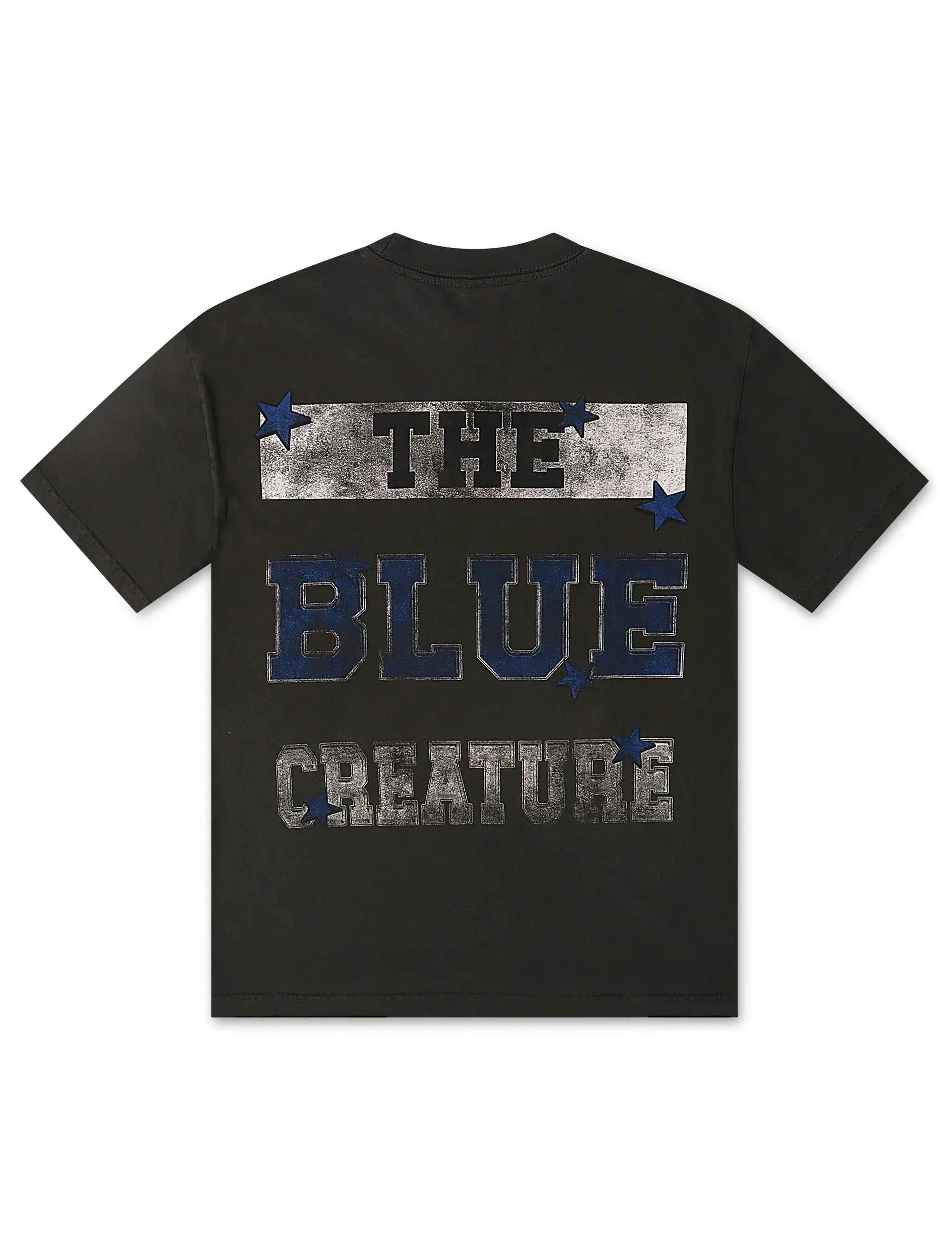 Stargazing Vulture Tee - Charcoal