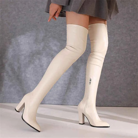 Classic Pointed Toe Over the Knee Zipper Boot