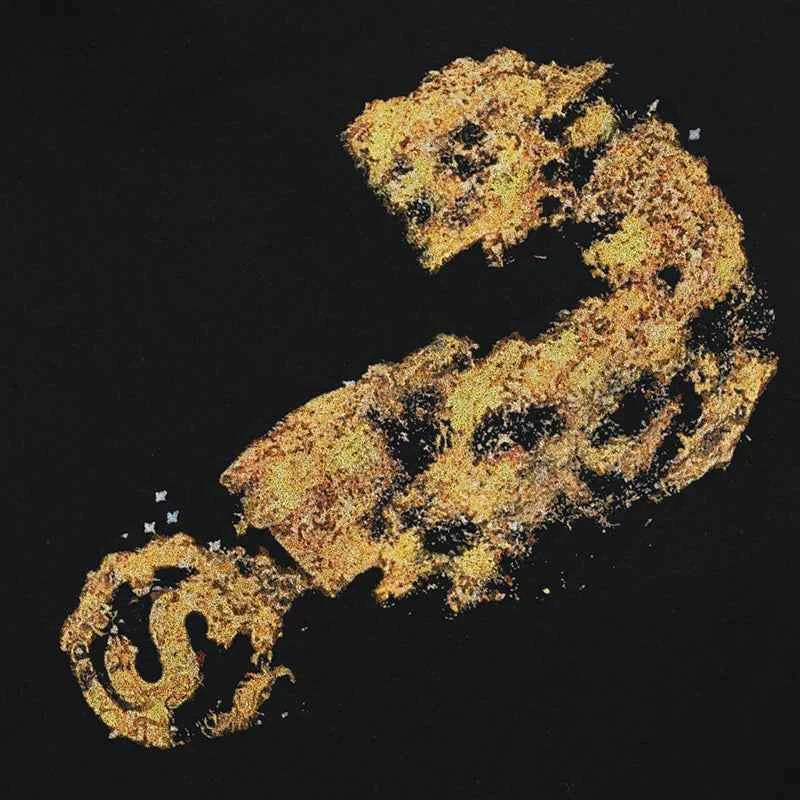 Burning Question Mark Graphic Hip Hop Hoodie