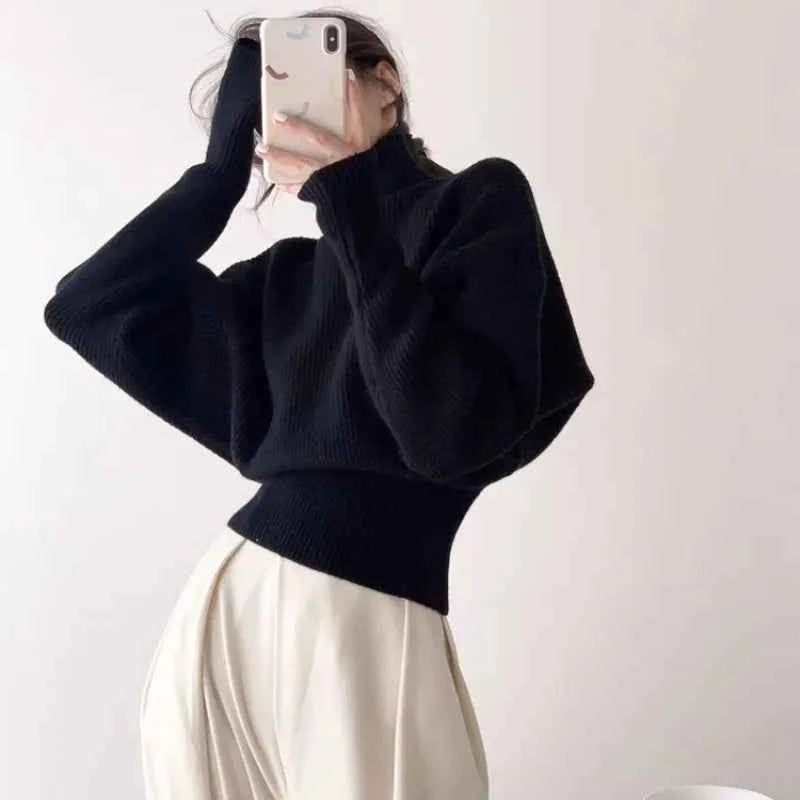 Women Stylish Bubble Sleeve Knit Sweater