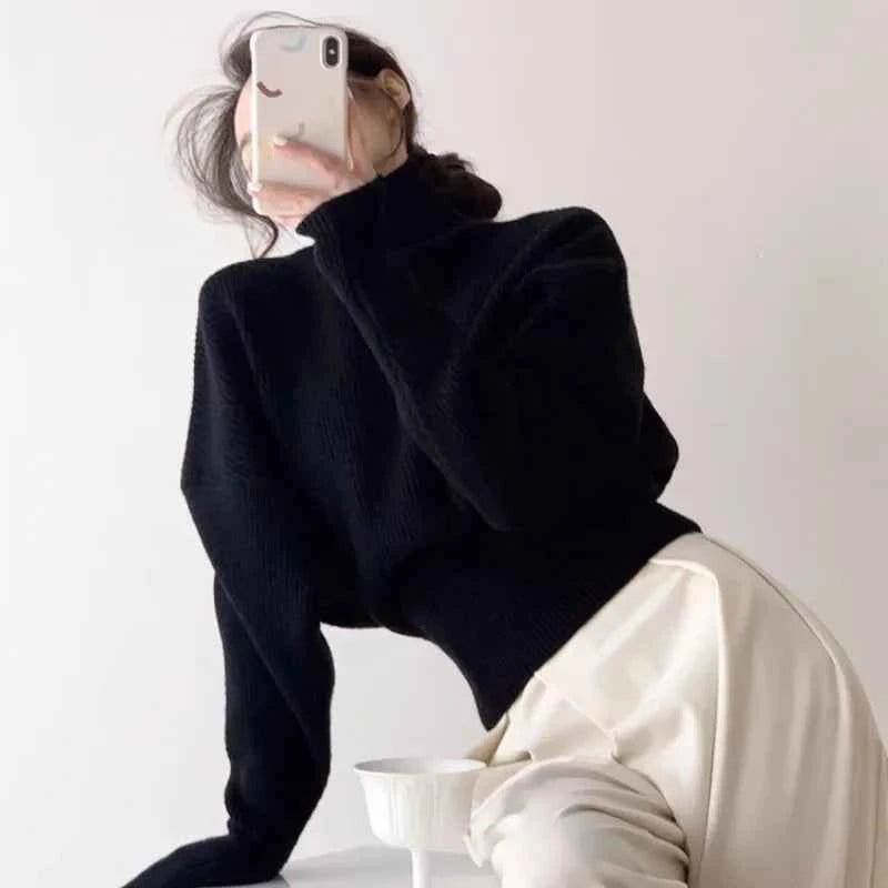 Women Stylish Bubble Sleeve Knit Sweater