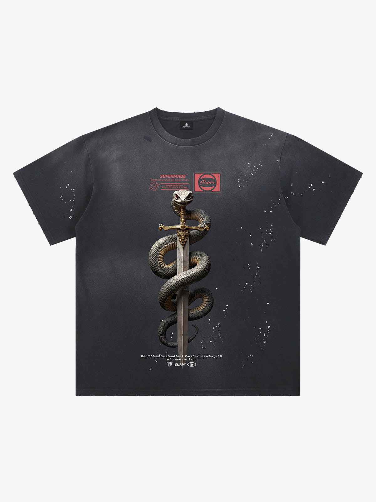 Snake and Sword Graphic T-Shirt