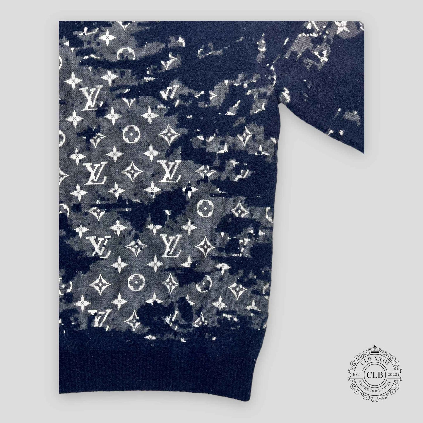 Louis Vuitton Distressed Flock Monogram Sweater in Navy