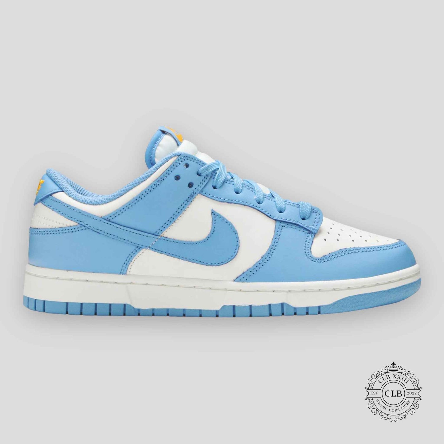 NIKE DUNK LOW (W) "UNC COAST"