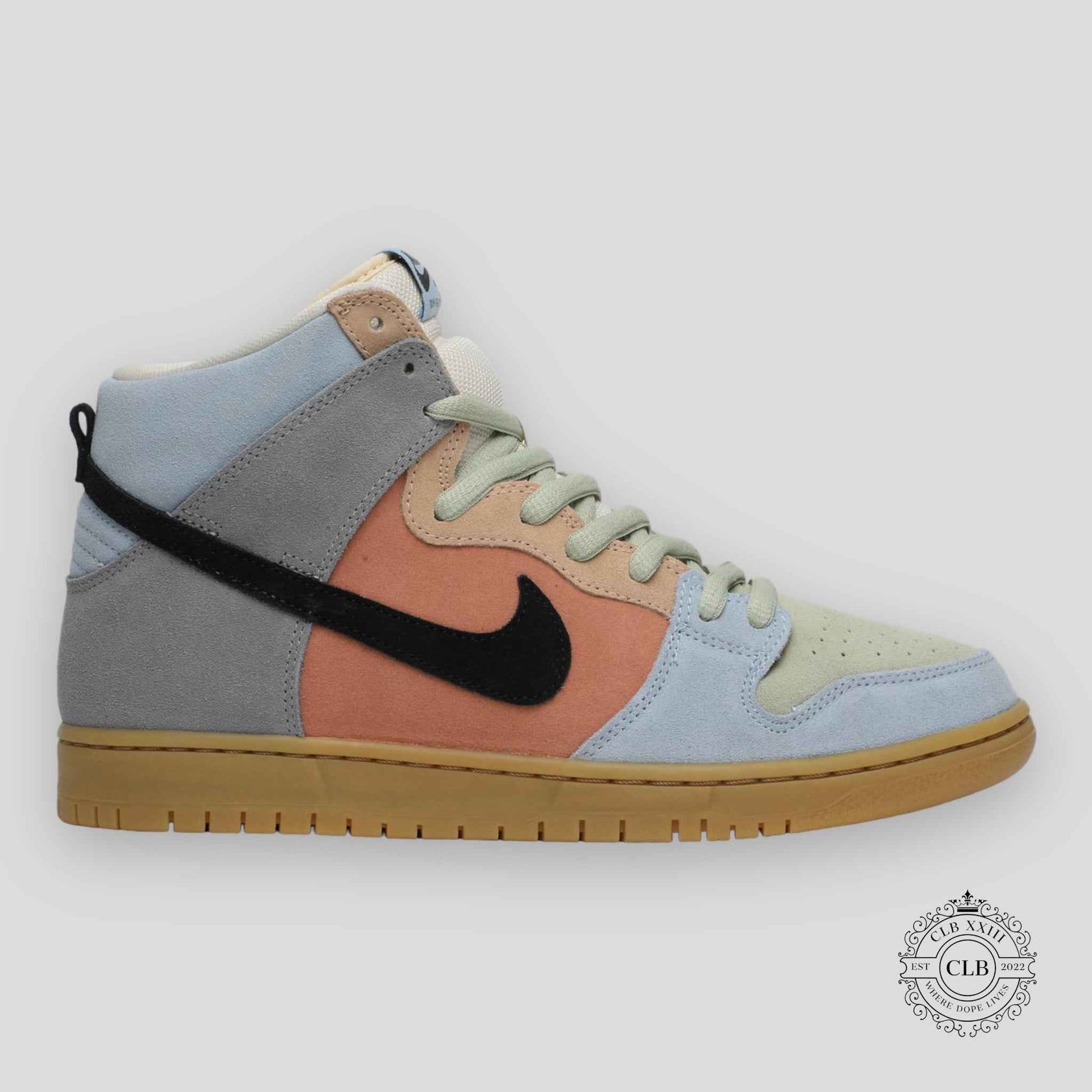 NIKE SB DUNK HIGH "SPECTRUM"