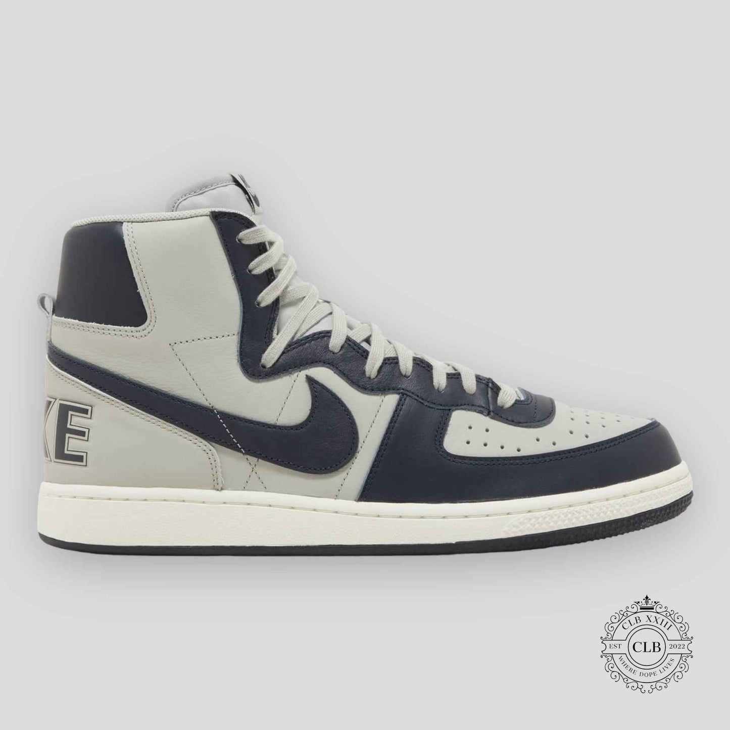 NIKE TERMINATOR HIGH "GEORGETOWN" (2022)