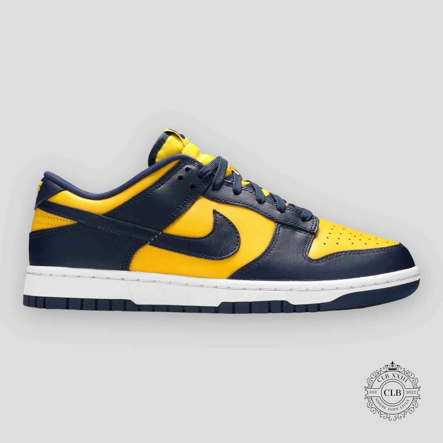 NIKE DUNK LOW "MICHIGAN"